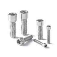 ASTM A479 UNS S32750 Cap Screws