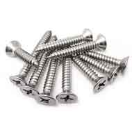 ASTM B166 Inconel Self Drilling Screw
