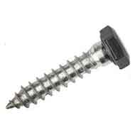 Duplex 2507 F55 Lag Bolts