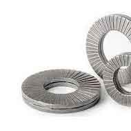 Duplex S31803 Nord Lock Washers