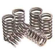 Duplex SS Springs