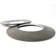 Duplex Steel F60 Belleville Washers
