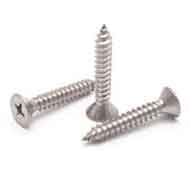 Gr 5 Ti Self Tapping Screws
