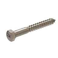 Hastelloy C276 Lag Bolts