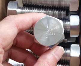 Monel Hex Bolt