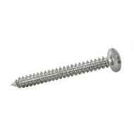SAF 2507 Self Tapping Screws