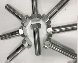 Stainless Steel Hex Bolt